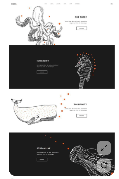 Visuel principal du portfolio — création graphique de Carol Hitillambeau